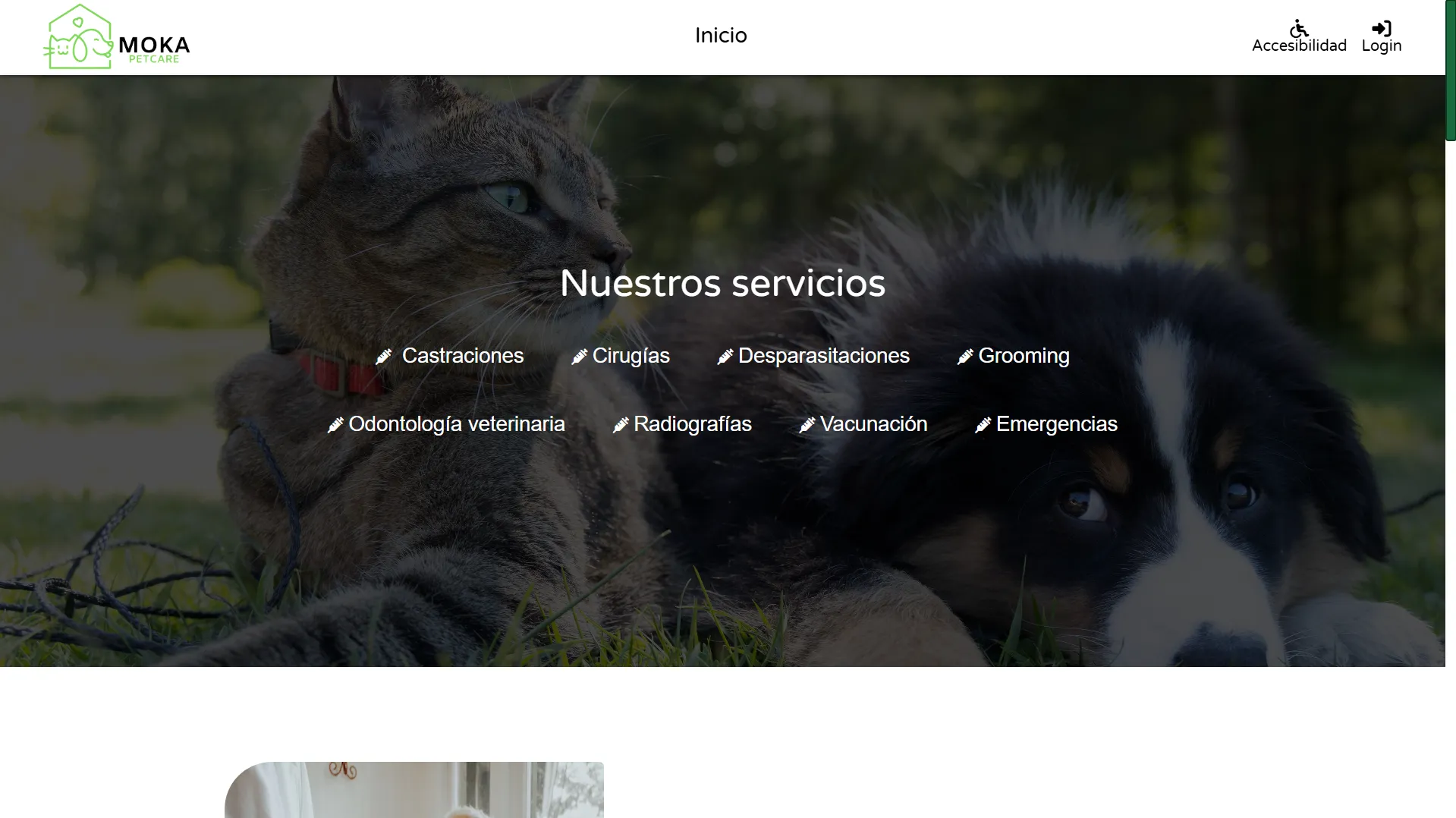 Screenshot of Veterinaria Moka management dashboard